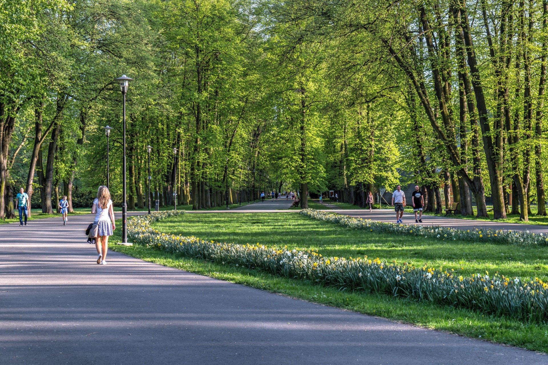 Ostrava je zelená
