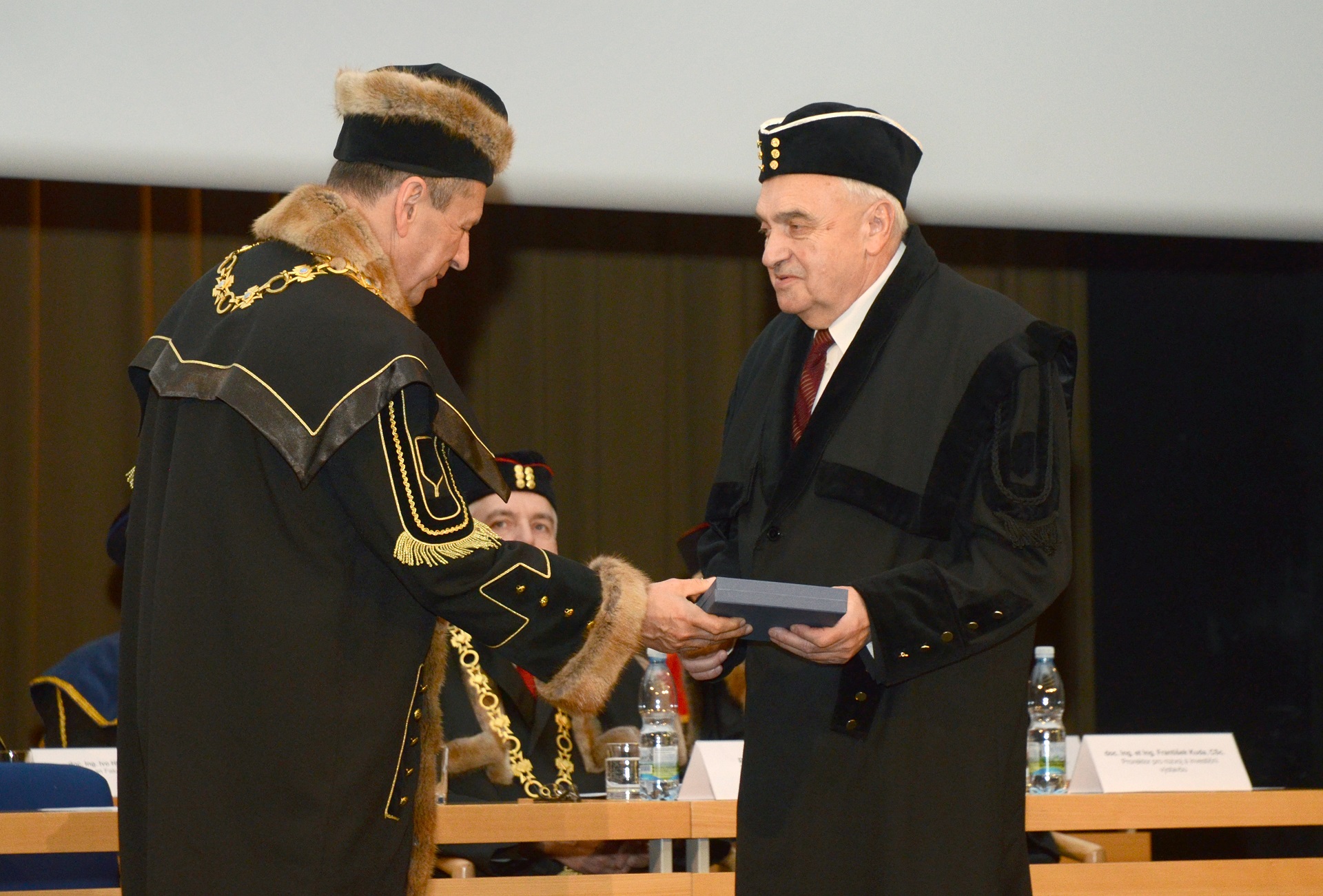 prof. Ing. Petr Šnapka, DrSc.