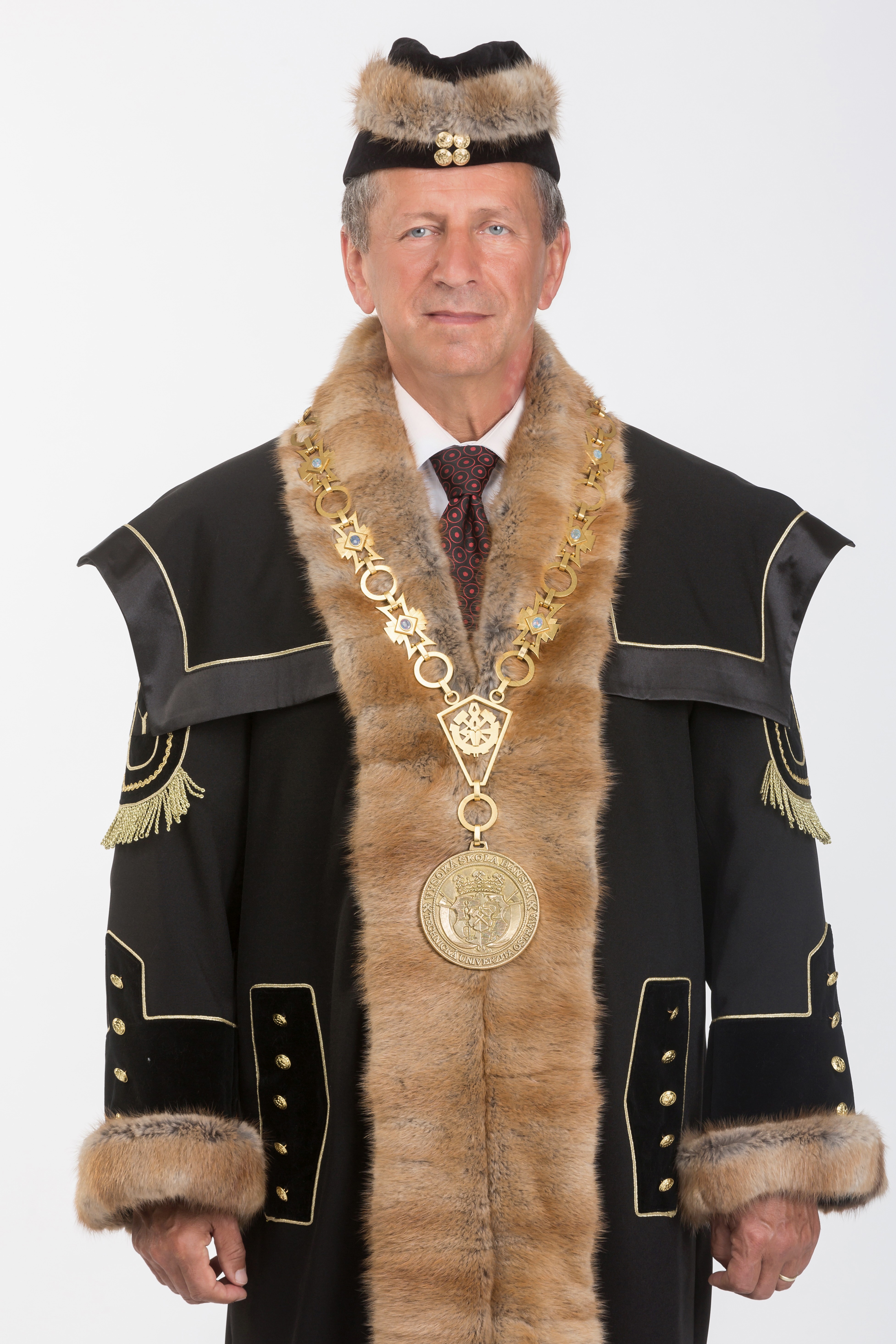 prof. RNDr. Václav SNÁŠEL, CSc.
