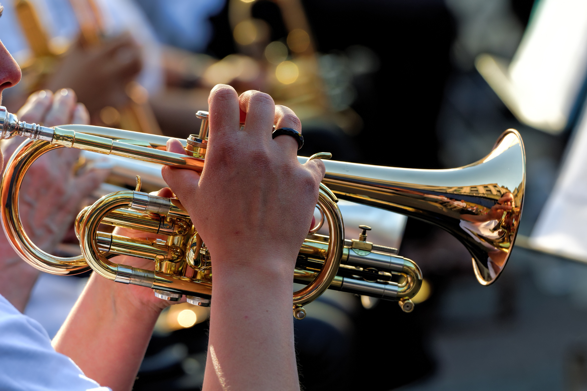 Kampus plný dechů Vol.2