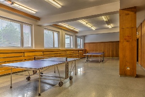 Stolní tenis_E001 Stolní tenis_E001