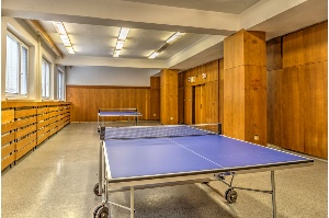 Stolní tenis_E001 Stolní tenis_E001