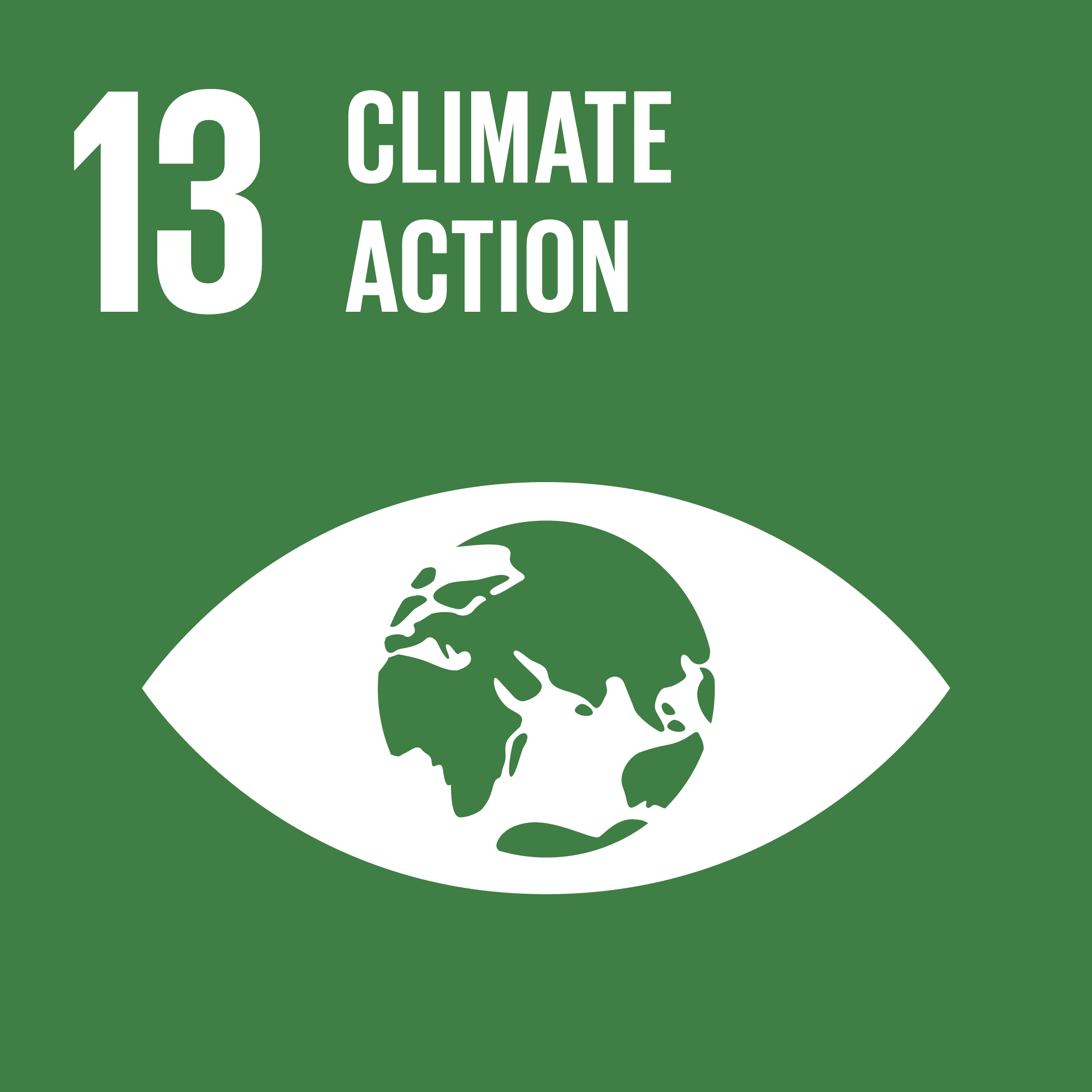TheGlobalGoals_Icons_Color_Goal_17