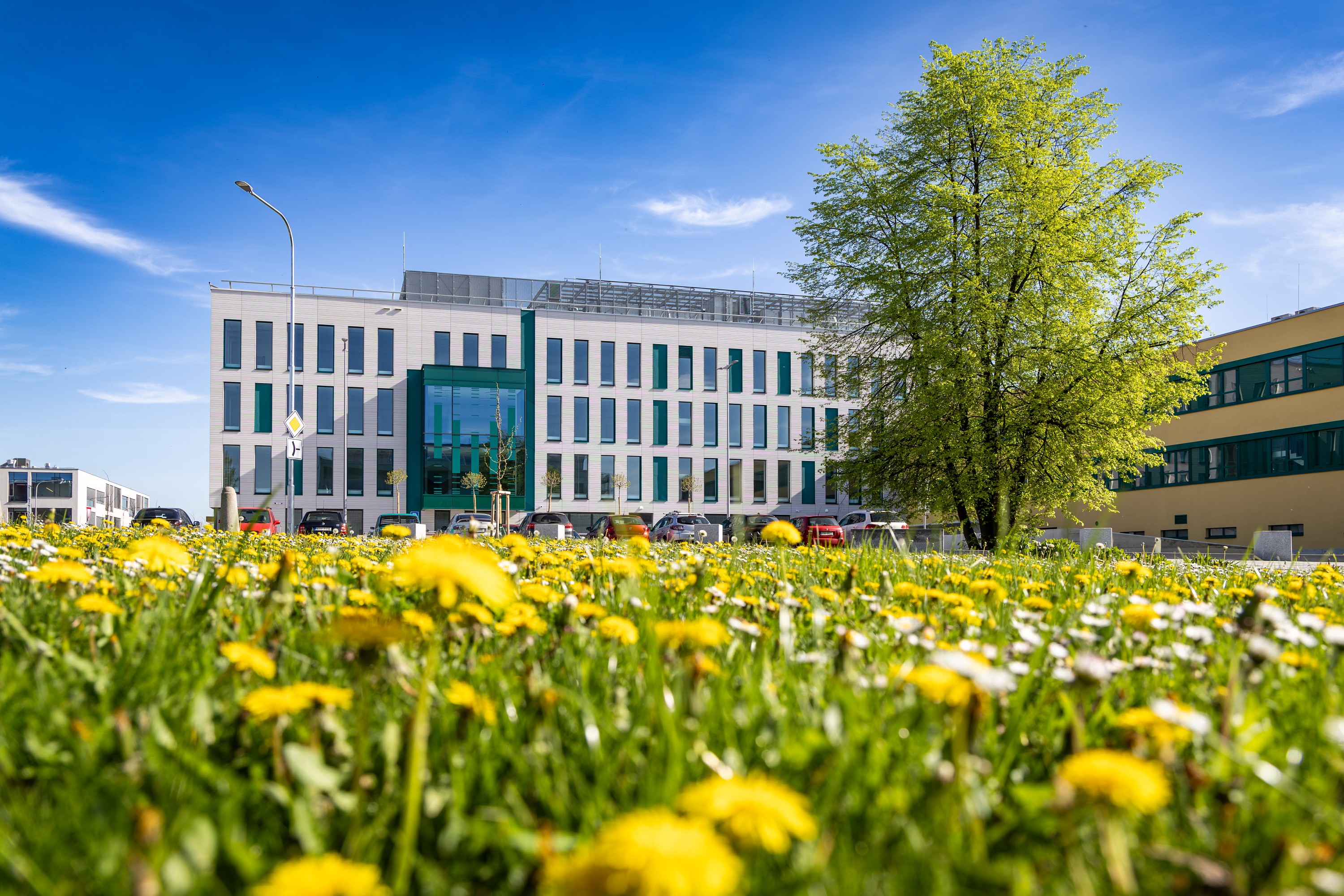 EKF-NEW-building-spring-2024_small