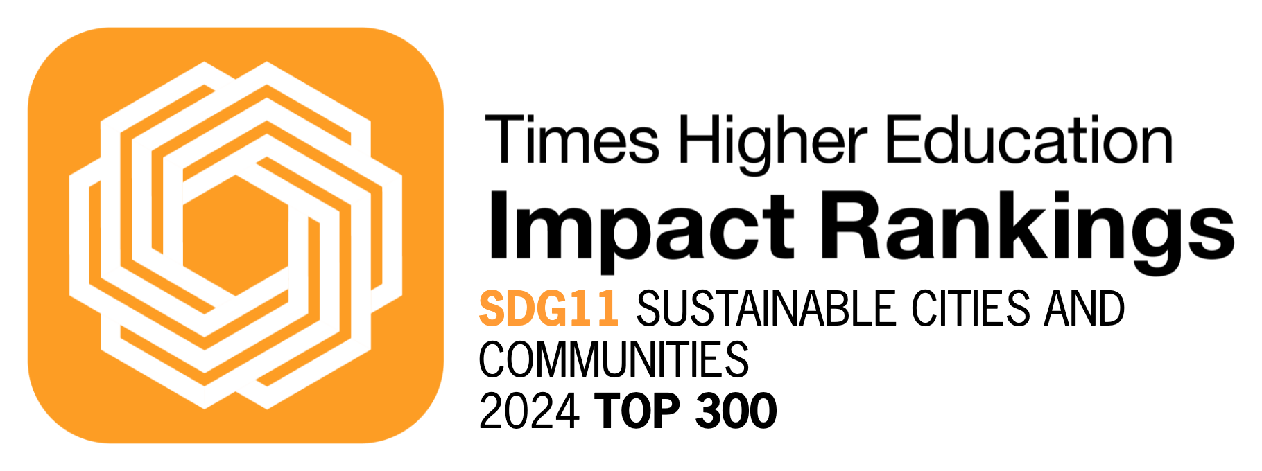 SDG 11_2024