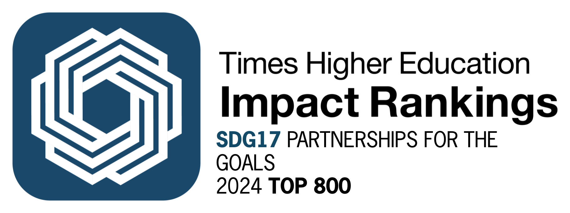 SDG 17_2024