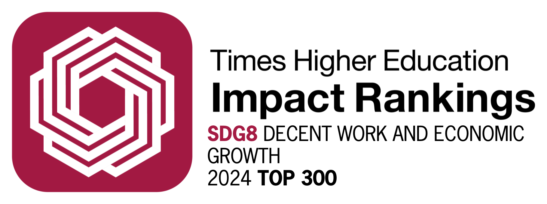 SDG 8_2024