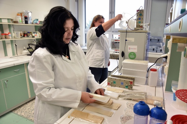 clanek_hgf-odsolovani