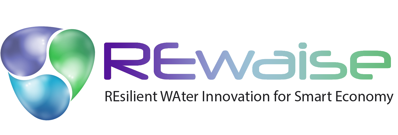 logo-rewaise