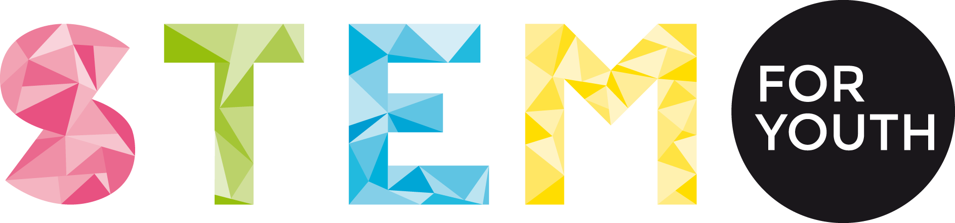 logo-stem4you