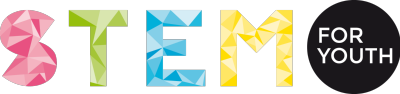logo-stem4you